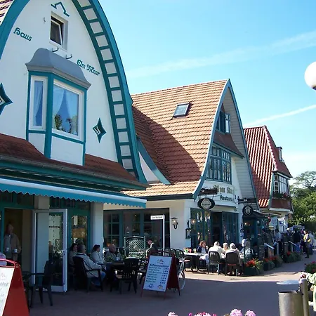 Holubek