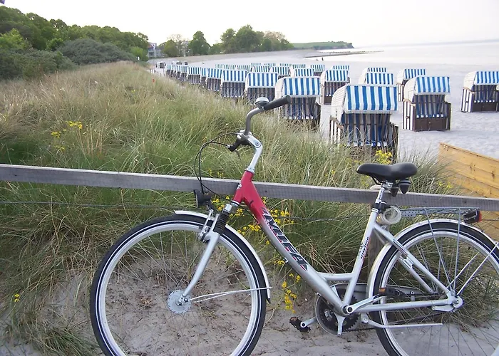 Holubek * בולטנהאגן