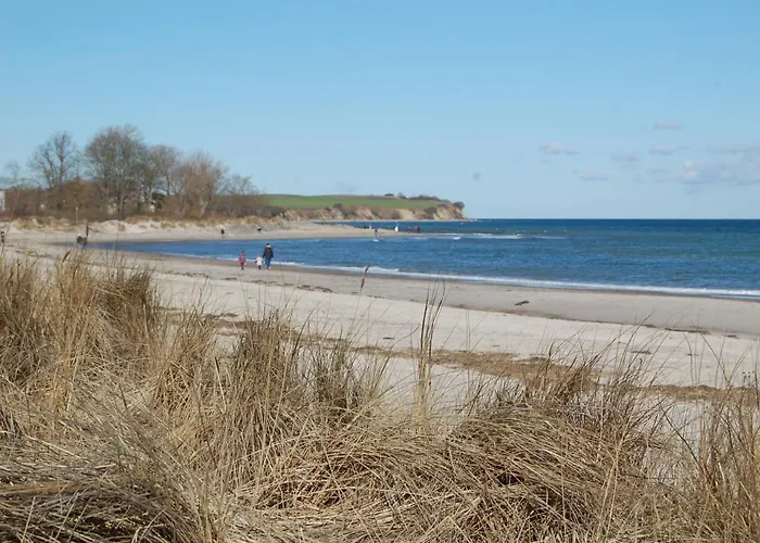 Holubek * בולטנהאגן